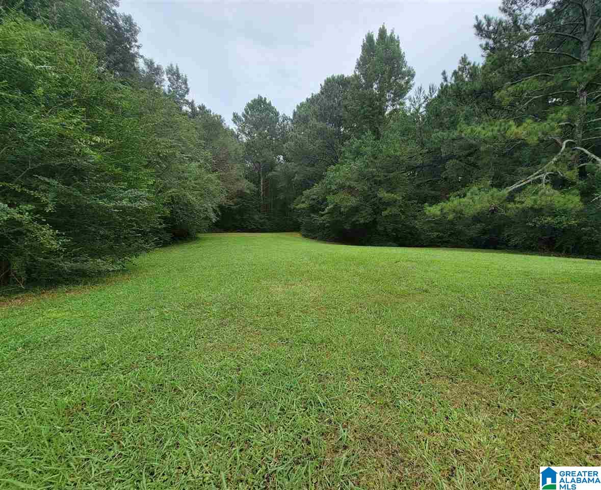 250 Pinehill Road Pell City, AL 35125 - Photo 13 of 15