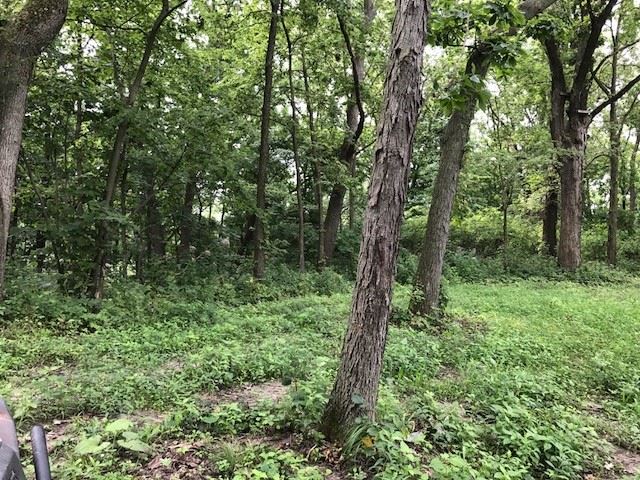 0 Frontage Road Hazel Green, WI 53811 - Photo 2 of 21 Gallery Image 2