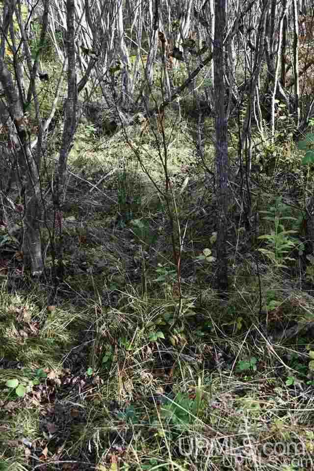 Tbd Schnurer Road, Unit 80 AC Manistique, MI 49854 - Photo 18 of 24 Gallery Image 18