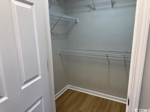 425 Myrtle Greens Drive, Unit B Conway, SC 29526 - Photo 4 of 18 Spacious closet featuring light wood-style floors