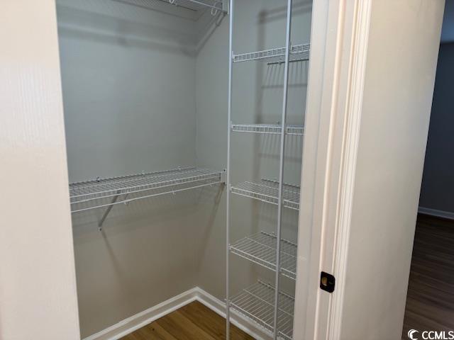 425 Myrtle Greens Drive, Unit B Conway, SC 29526 - Photo 5 of 18 Spacious closet featuring dark wood-style floors