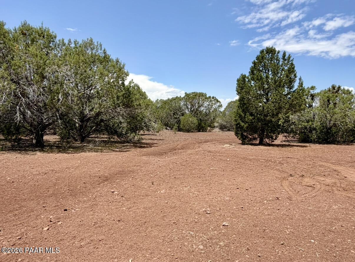 17169 Beale Wagon Road Seligman, AZ 86337 - Photo 48 of 55 Beale Wagon Homestead
