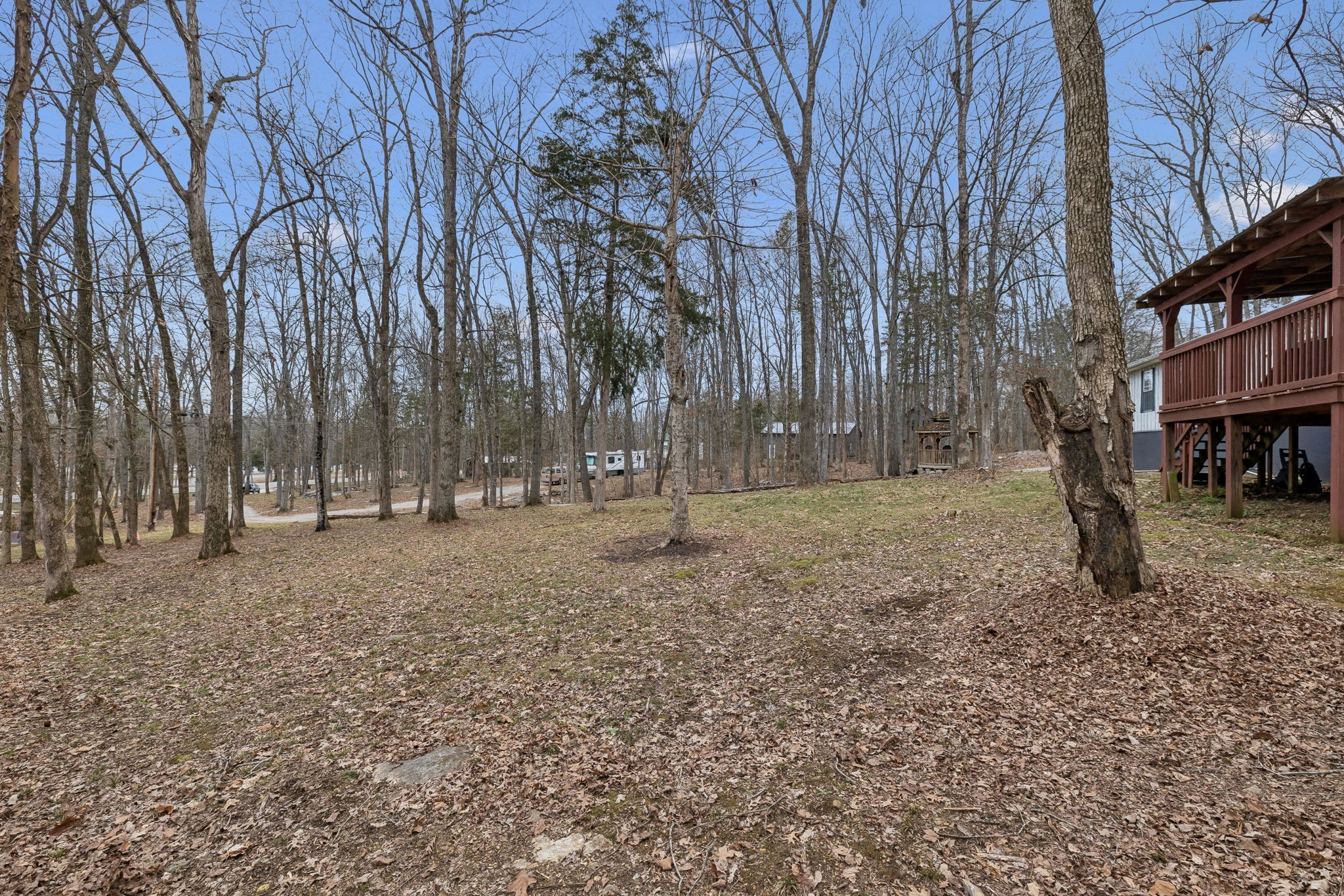 3726 Benders Ferry Road Mount Juliet, TN 37122 - Photo 11 of 25 a view of outdoor space with trees