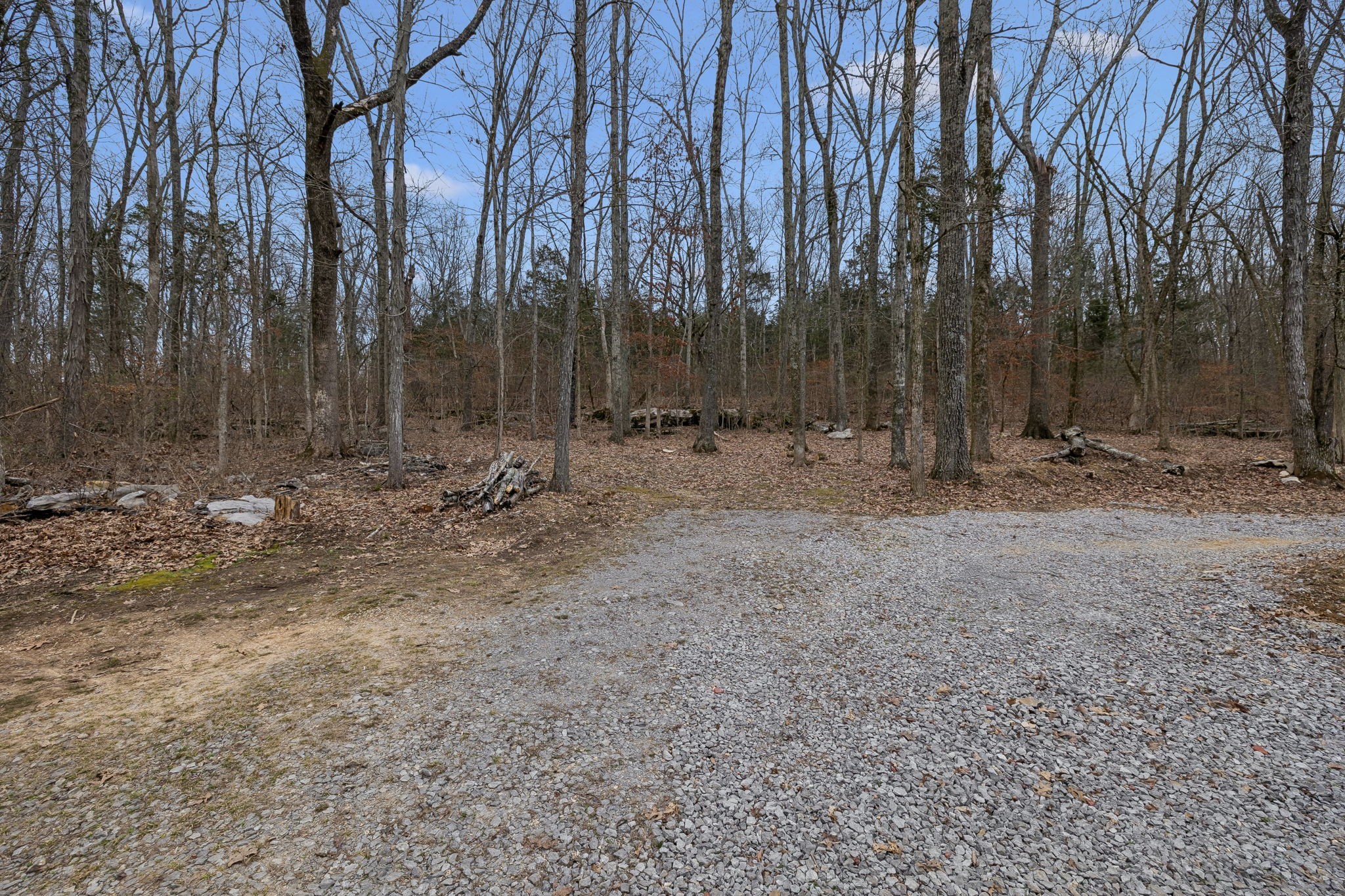 3726 Benders Ferry Road Mount Juliet, TN 37122 - Photo 5 of 25 a view of outdoor space with trees