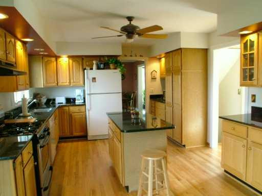 1767 Snowberry Ridge Road Ann Arbor, MI 48103 - Photo 3 of 7 Photo 3
