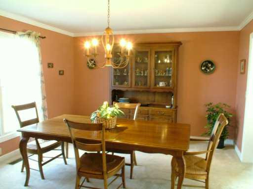 1767 Snowberry Ridge Road Ann Arbor, MI 48103 - Photo 5 of 7 Photo 5