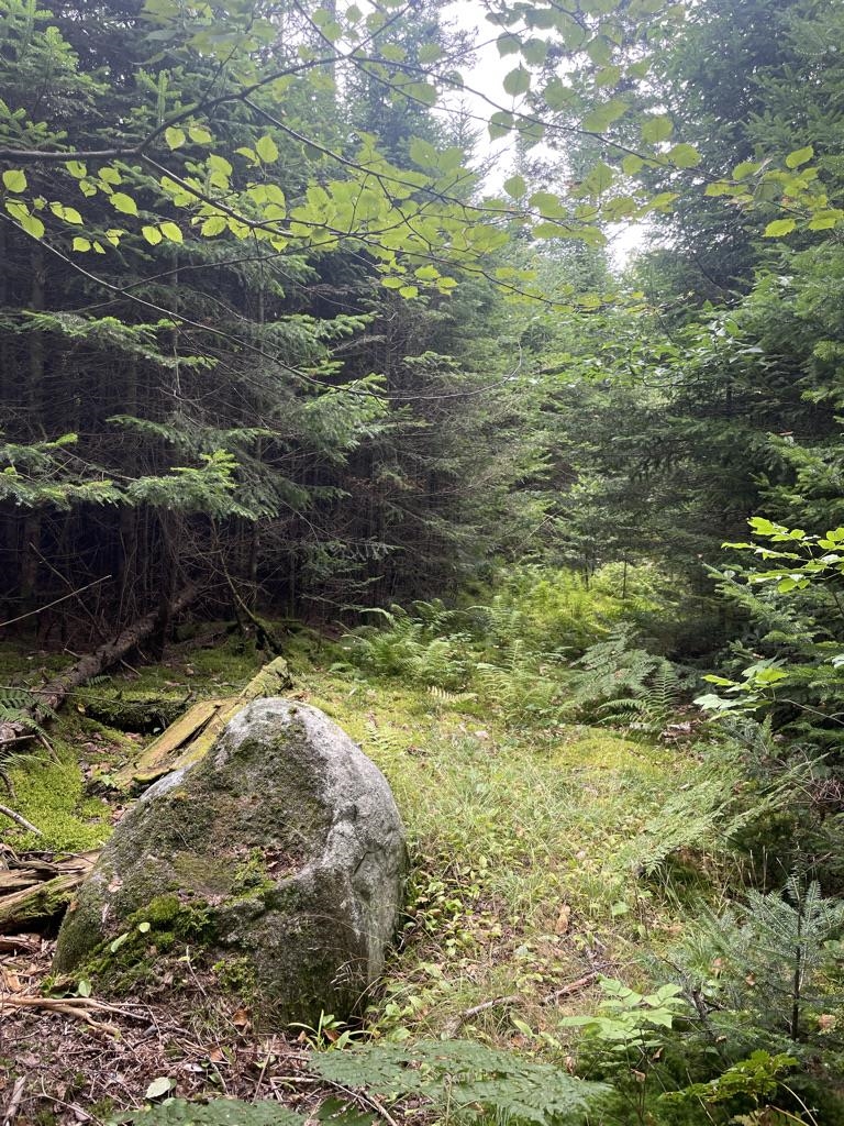 89 Shadow Lane Woodbury, VT 05658 - Photo 27 of 27