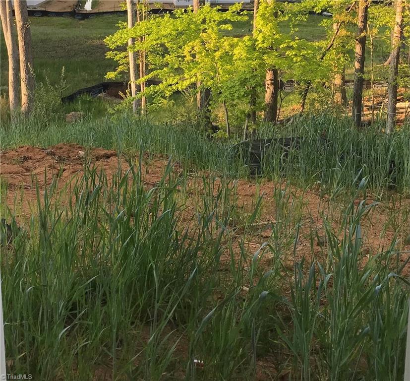 2592 Lacy Holt Road Graham, NC 27253 - Photo 3 of 3 back yard view