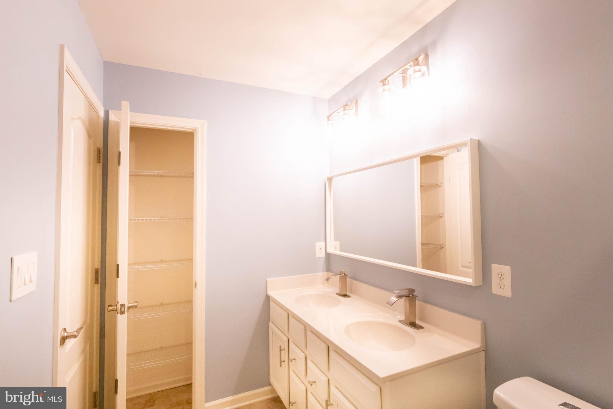 952 Winter Run Road Baltimore, MD 21220 - Photo 65 of 76 Master Bathroom