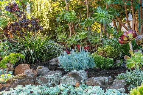 $729,000 | 7607 Valentine Street, Oakland, CA 94605