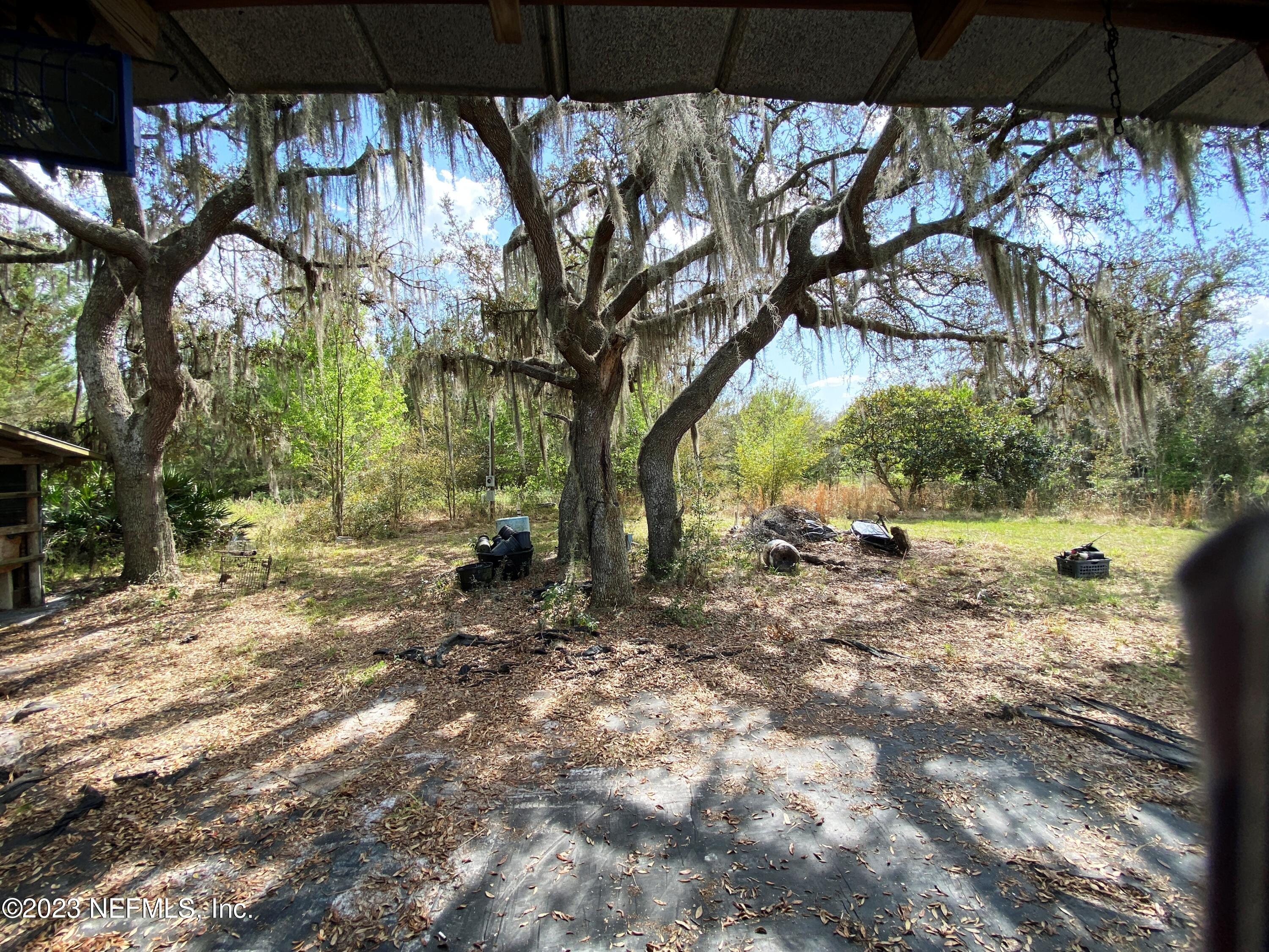 157 Union Camp Road Crescent City, FL 32112 - Photo 16 of 20 Backyard