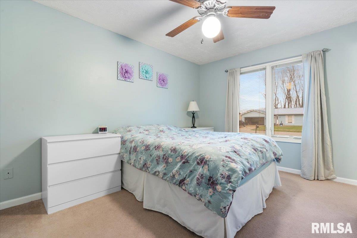 57 Celeste Court Springfield, IL 62703 - Photo 15 of 30