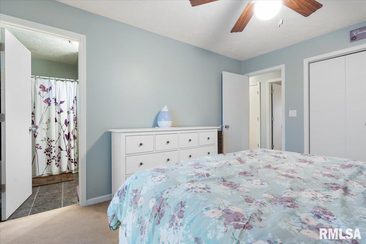 57 Celeste Court Springfield, IL 62703 - Photo 17 of 30