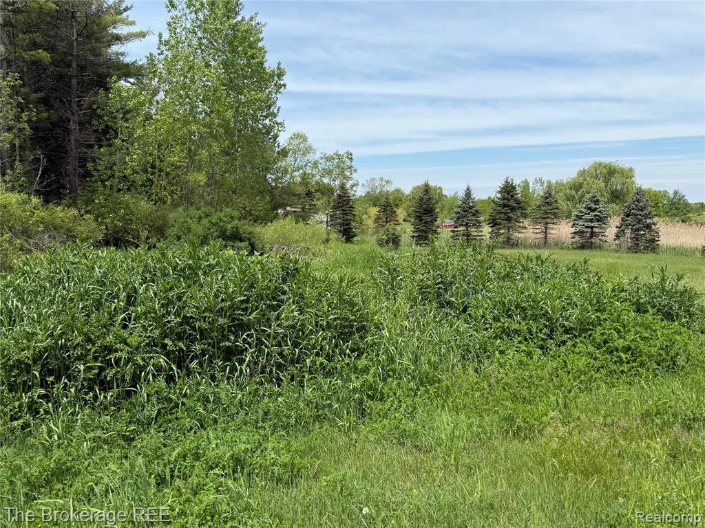 3020 Merwin Road Lapeer, MI 48446 - Photo 27 of 33