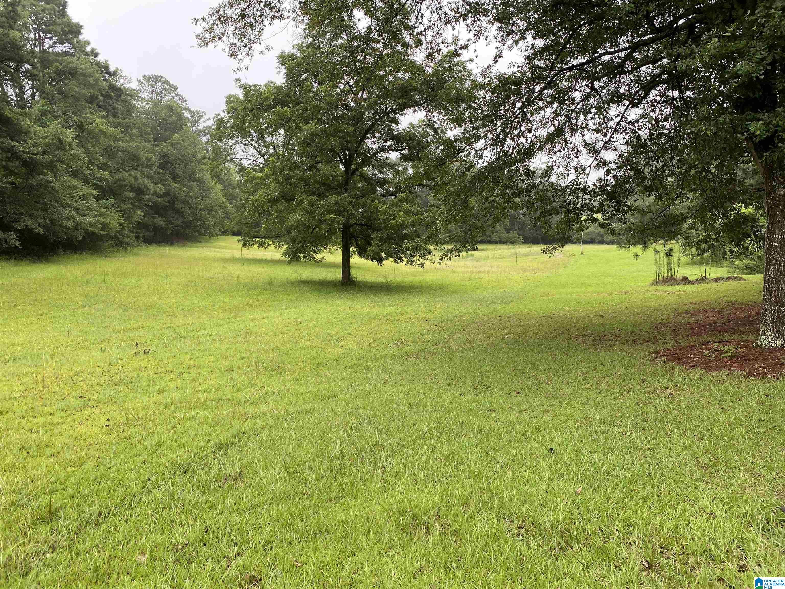80 Old Collins Chapel Road Thorsby, AL 35171 - Photo 20 of 25