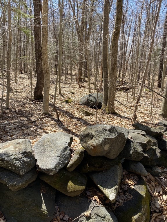 0 Bug Hill Road Ashfield, MA 01330 - Photo 8 of 16