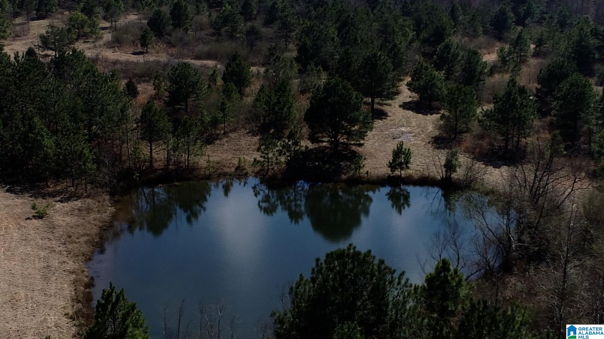 0 Jones Chapel Loop, Unit 20 ACRES Springville, AL 35146 - Photo 12 of 13