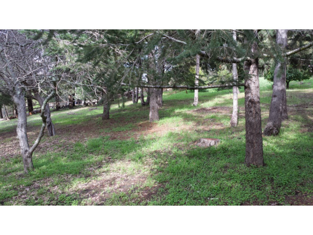 0 Sims Road Santa Cruz, CA 95060 - Photo 2 of 6 Gallery Image 2