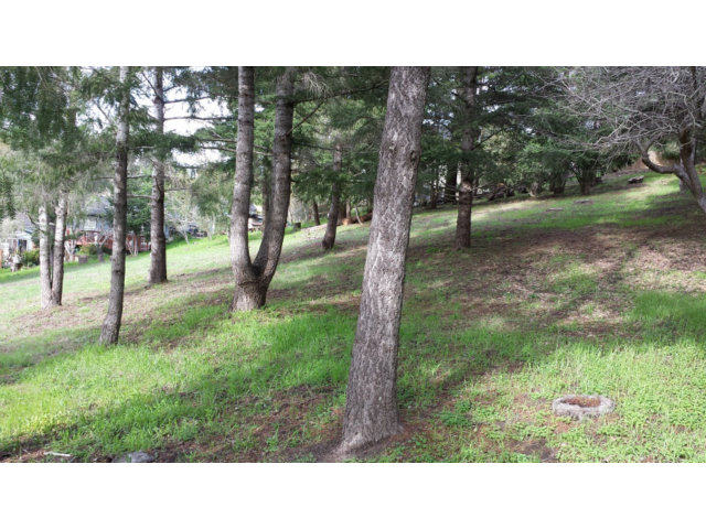 0 Sims Road Santa Cruz, CA 95060 - Photo 4 of 6 Gallery Image 4