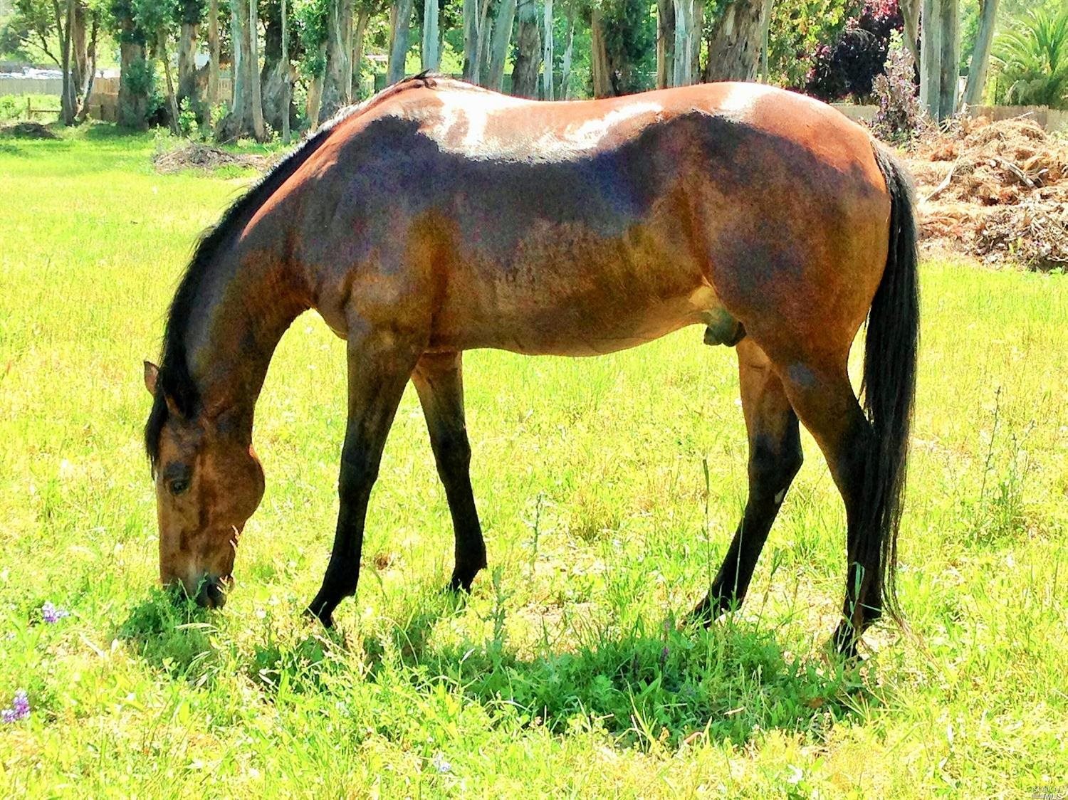 a view of swimming pool from a yard