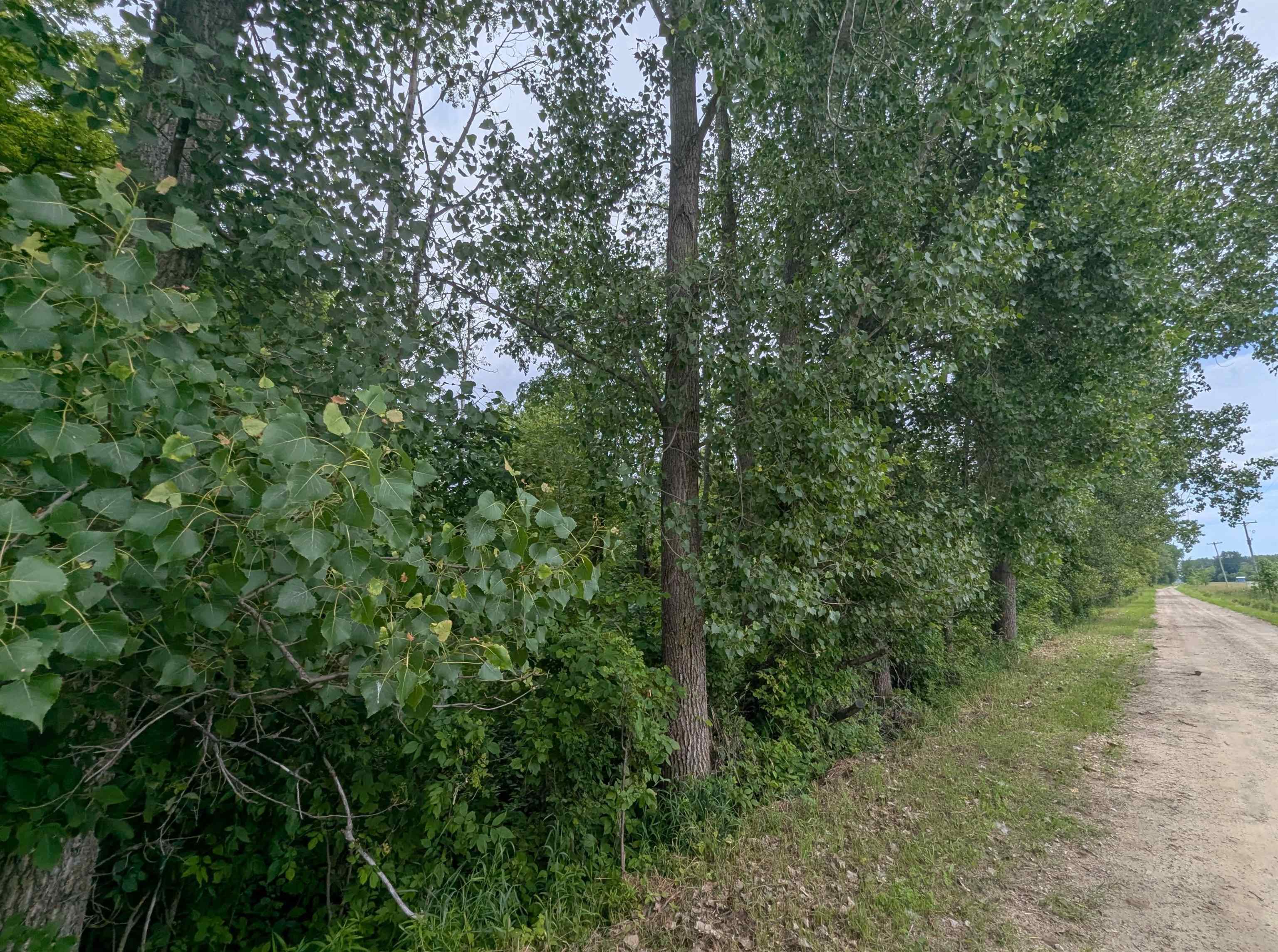N/a Shenfield Road Turner, MI 48765 - Photo 2 of 15 1947337-8fabc5b9-b554-4b37-9034-68338a26e6dd.JPG