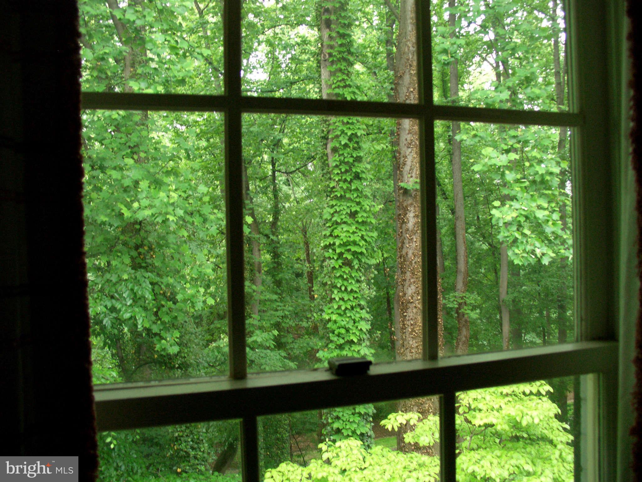 1304 Skipwith Road McLean, VA 22101 - Photo 14 of 25 a view of outdoor with green space