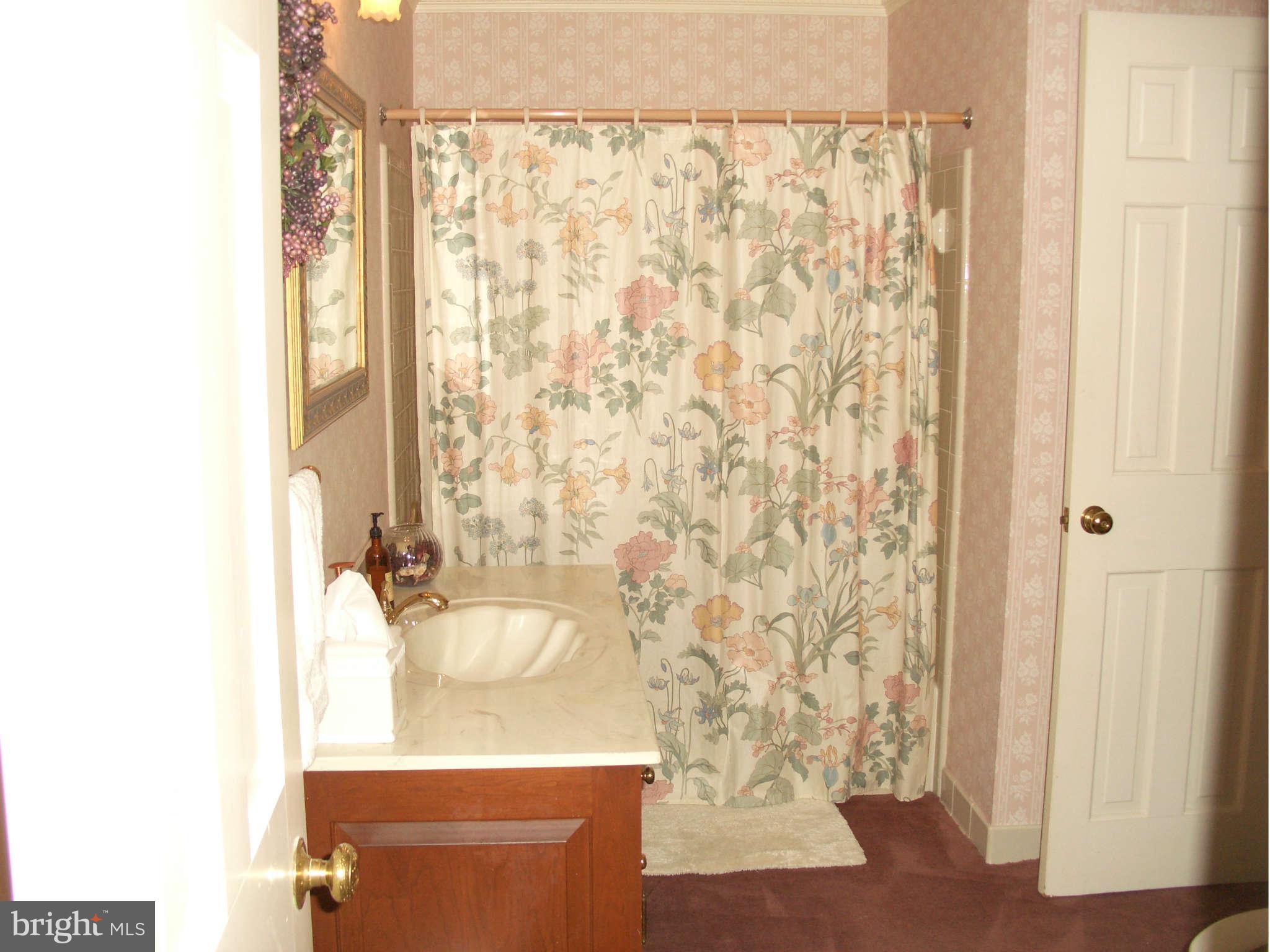 1304 Skipwith Road McLean, VA 22101 - Photo 17 of 25 a bathroom with a shower curtain and a sink