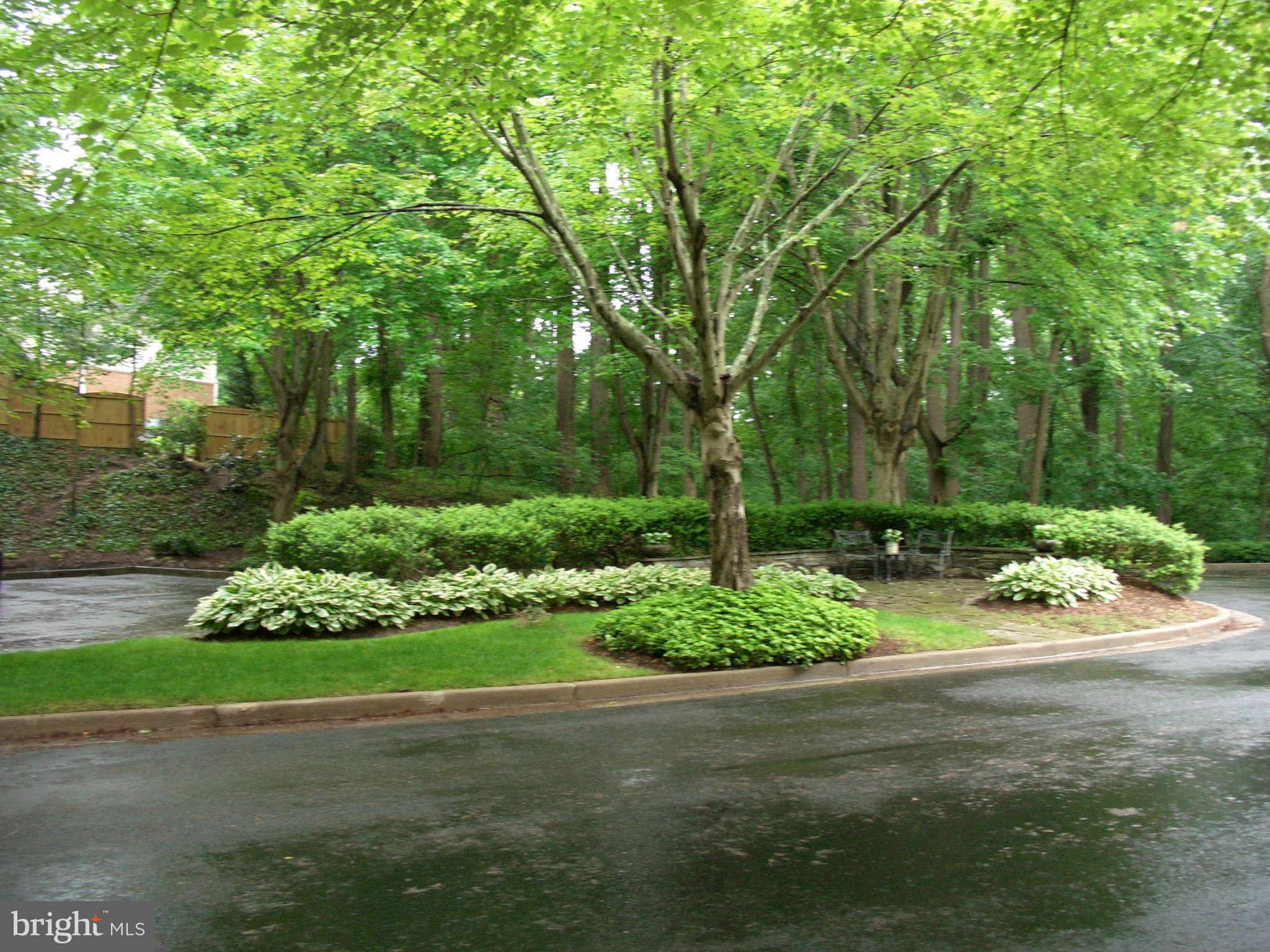 1304 Skipwith Road McLean, VA 22101 - Photo 4 of 25 a green field with lots of trees
