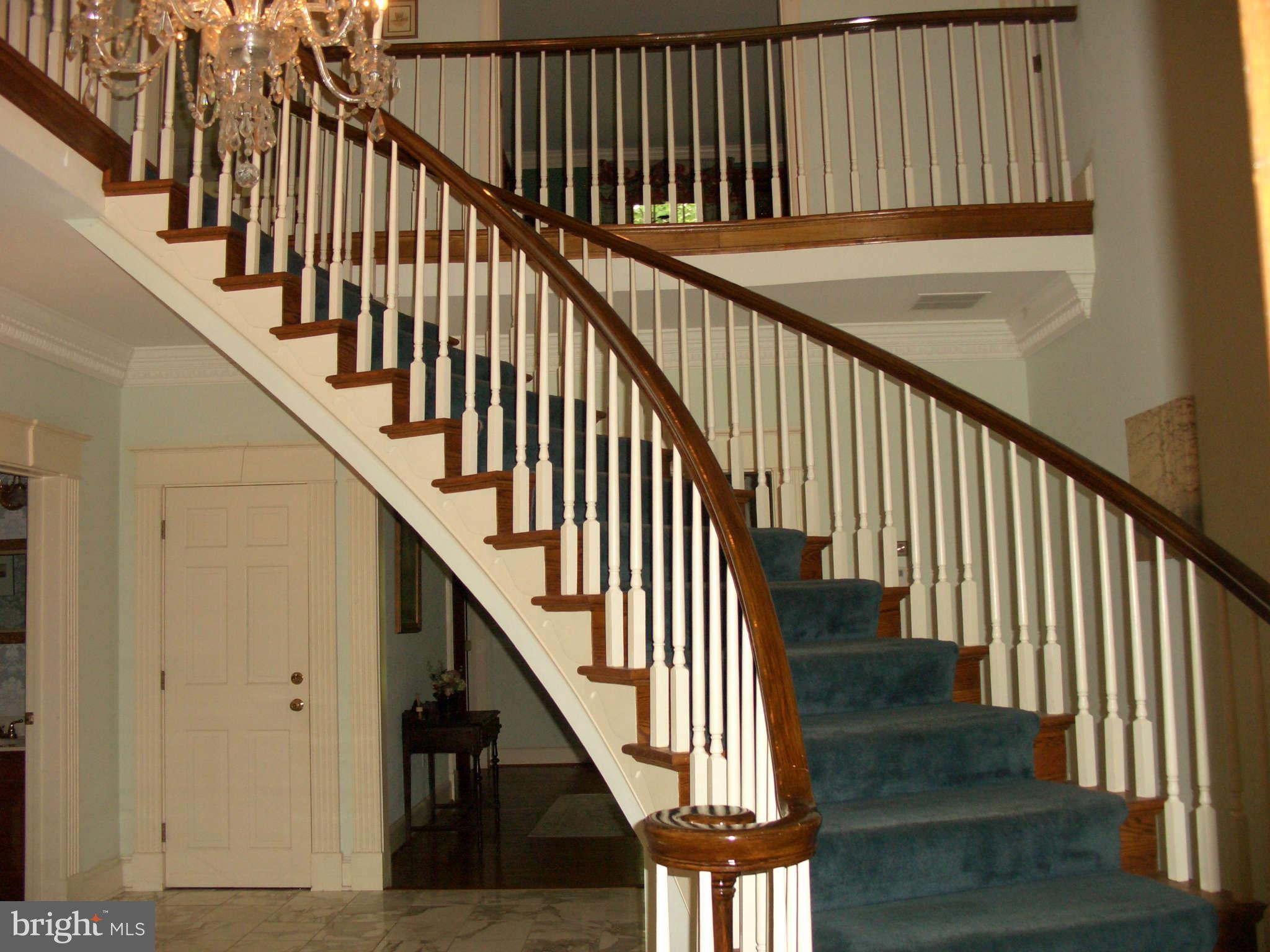 1304 Skipwith Road McLean, VA 22101 - Photo 5 of 25 a view of staircase with lots of frames on wall and wooden floor