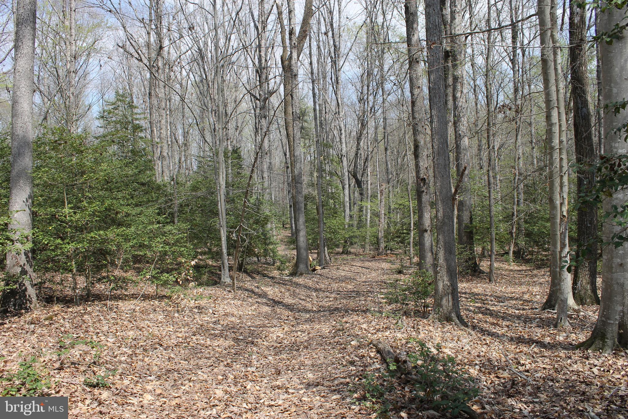 3445 Lewiston Road Bumpass, VA 23024 - Photo 42 of 44 Gallery Image 42