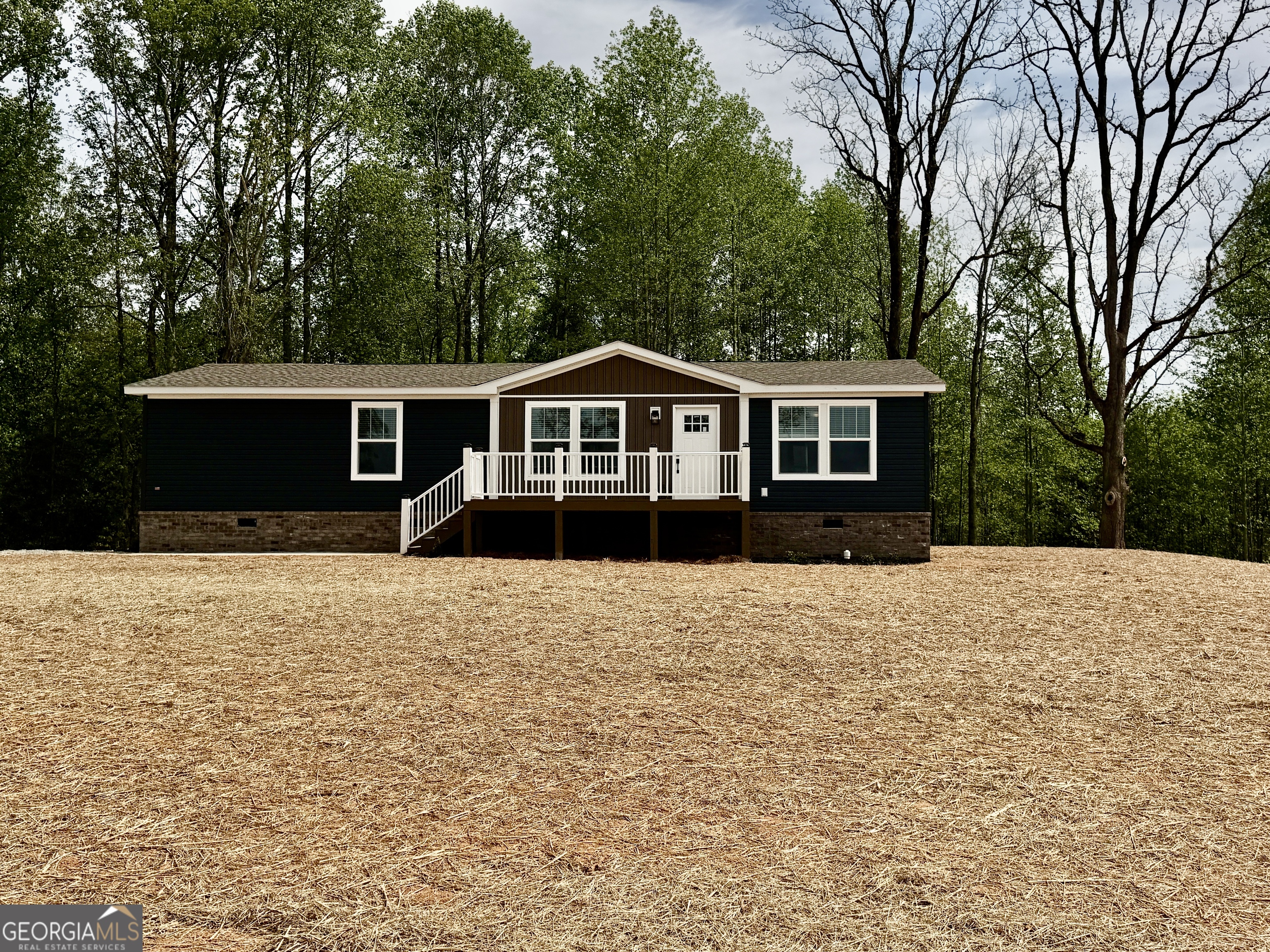 2868 Hollywood Church Road Clarkesville, GA 30523 - Photo 3 of 29