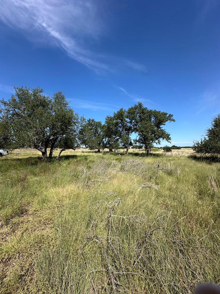 123 Lipan Loop Harper, TX 78631 - Photo 1 of 1