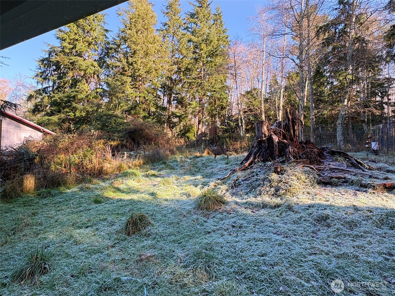 3257 East Harbor Road Langley, WA 98260 - Photo 17 of 20 a backyard of a house with lots of green space