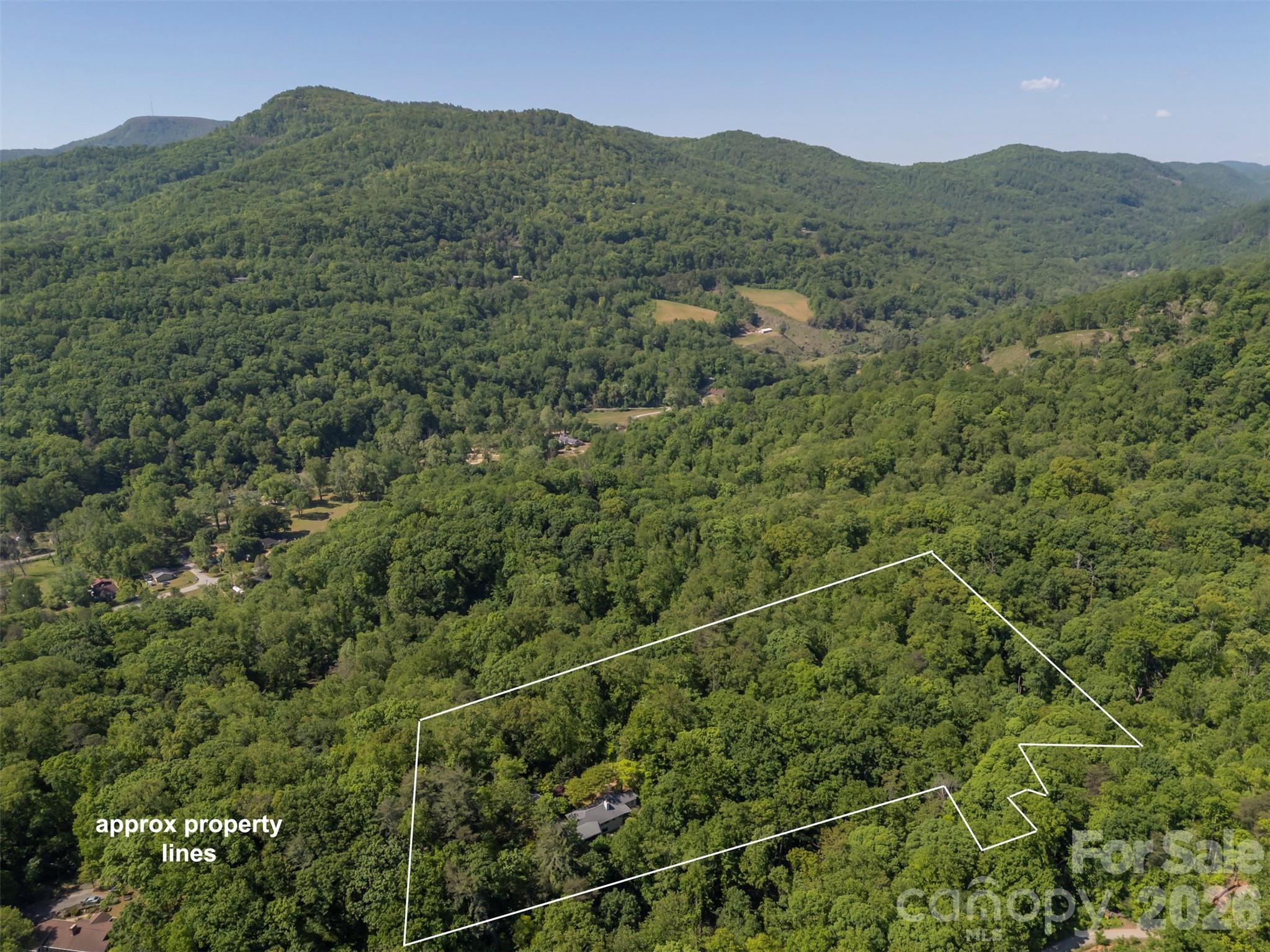 484 Sourwood Ridge Road Tryon, NC 28782 - Photo 34 of 34 a view of a mountain