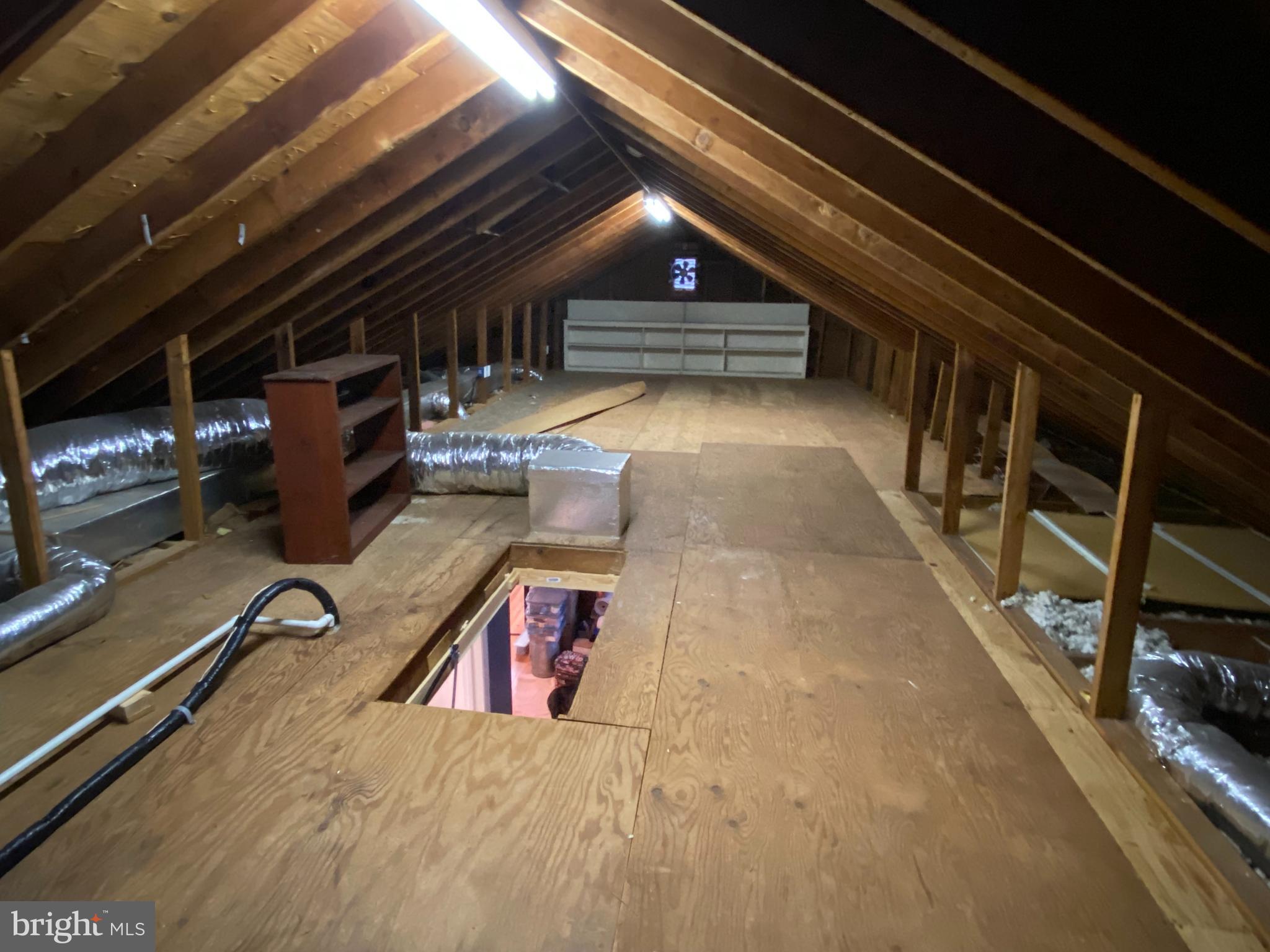 102 Choptank Terrace Cambridge, MD 21613 - Photo 24 of 25 Floored attic for storage