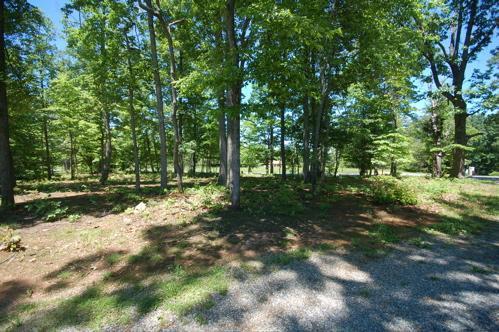 4051 Diamond Hill Road Moneta, VA 24121 - Photo 2 of 11 Back yard