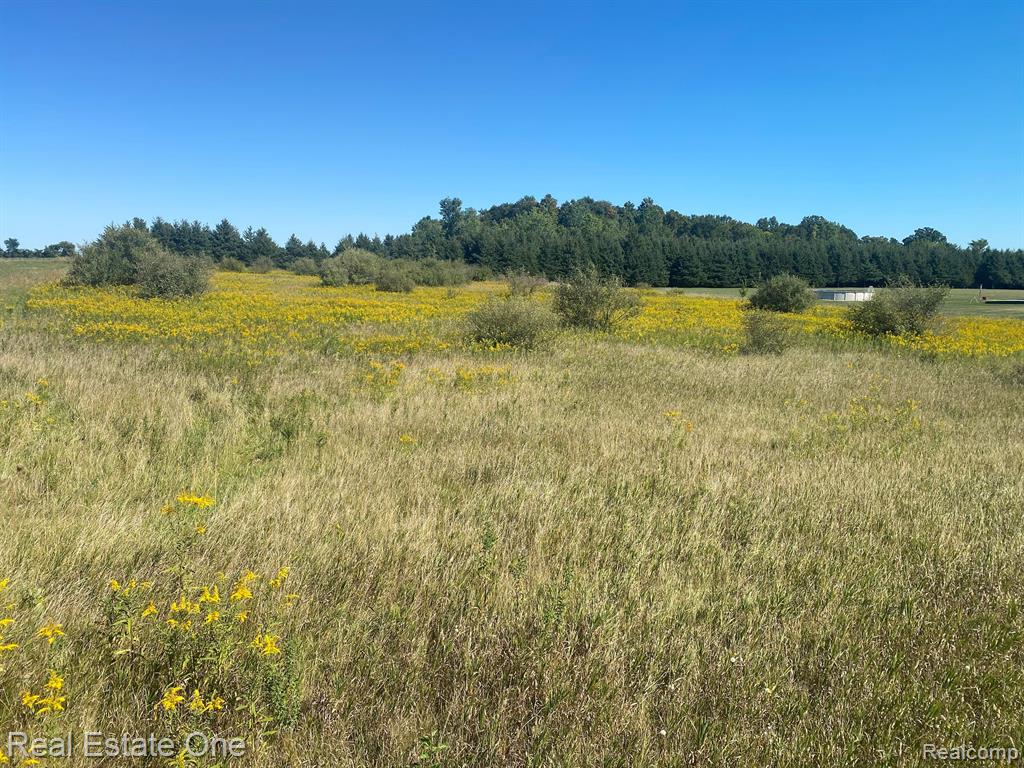 0 Lake Pleasant Rd Branch North Branch, MI 48461 - Photo 2 of 6