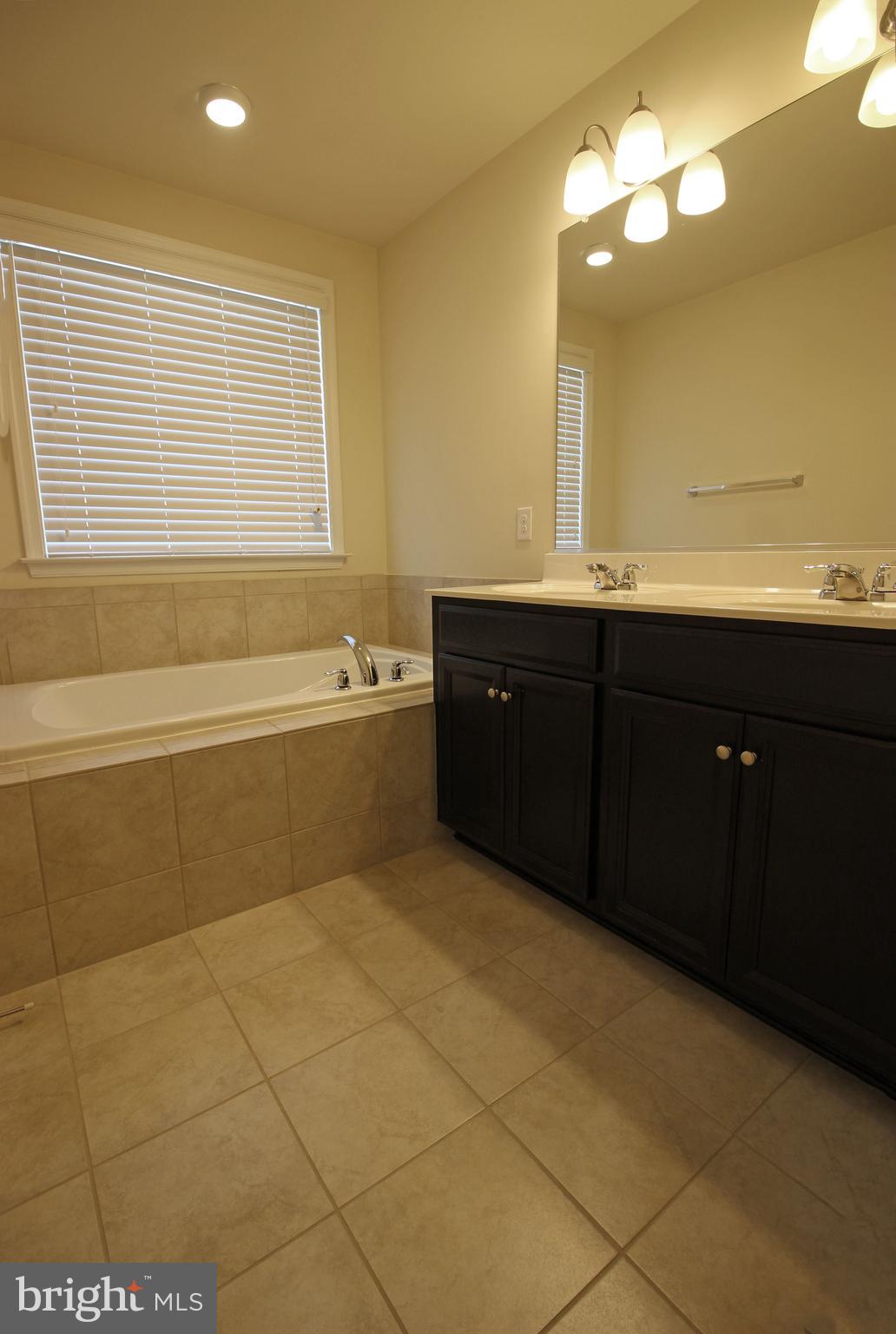 4720 Cambria Road Frederick, MD 21703 - Photo 19 of 41 a bathroom with a bathtub and a sink