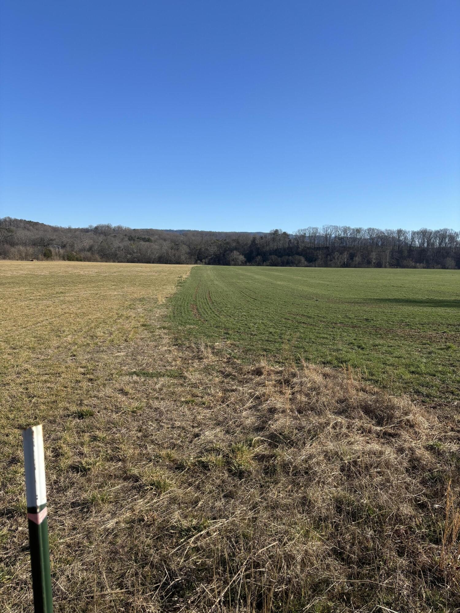 168 Moby Road Delano, TN 37325 - Photo 6 of 20