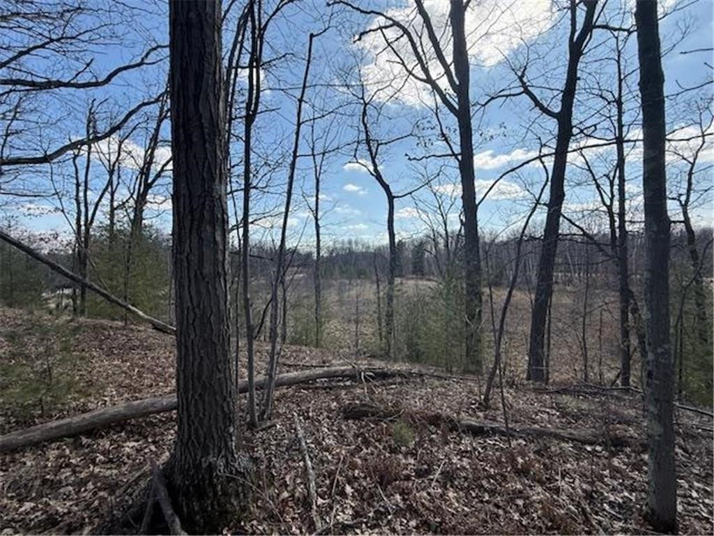 63 Barronett Wi 54871 Shell Lake, WI 54871 - Photo 24 of 24