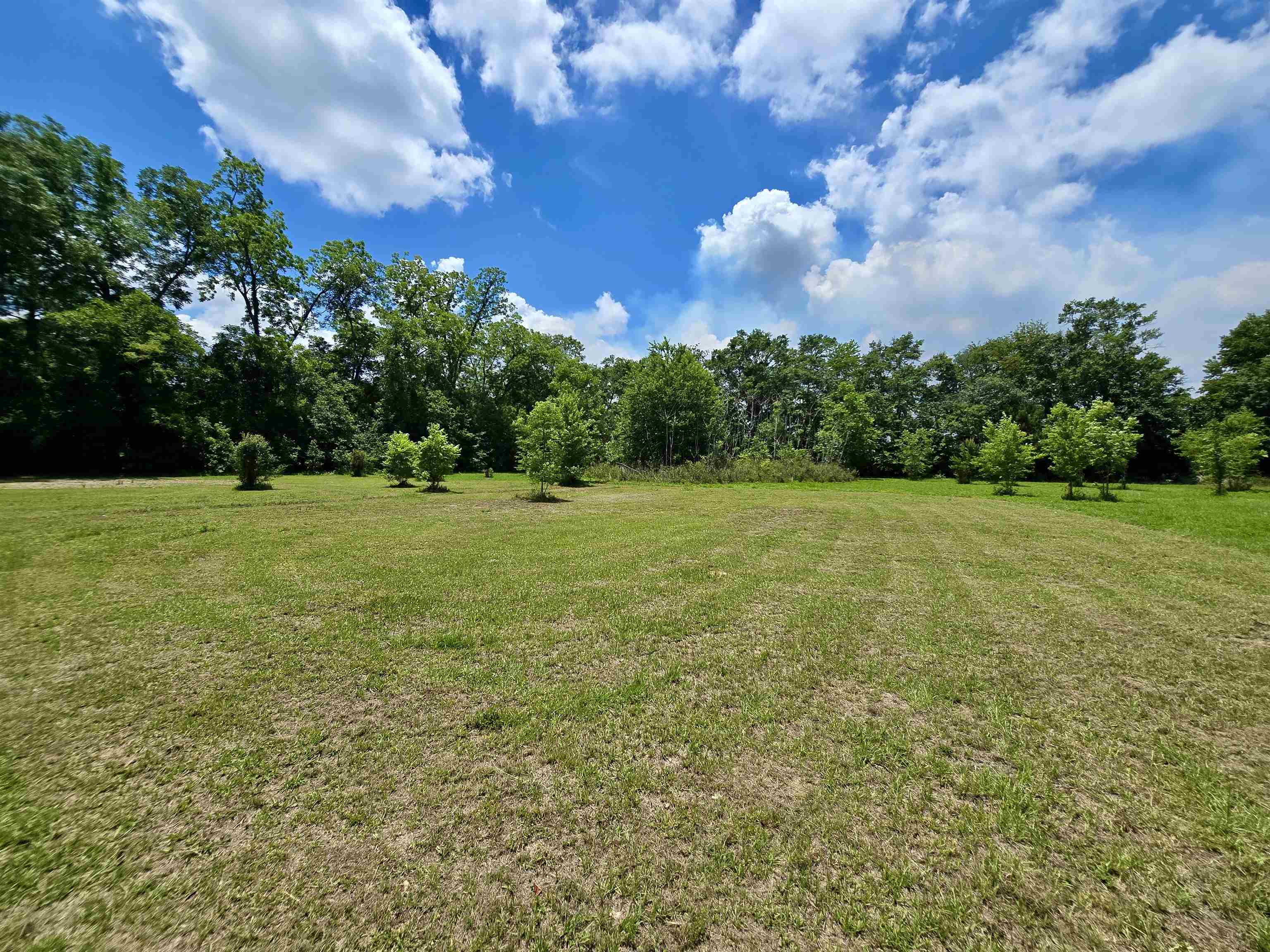8497 Sycamore Road Greensboro, FL 32351 - Photo 44 of 54