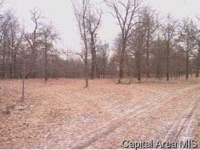 Finney Road Modesto, IL 62667 - Photo 2 of 4