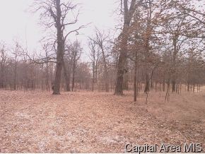 Finney Road Modesto, IL 62667 - Photo 3 of 4