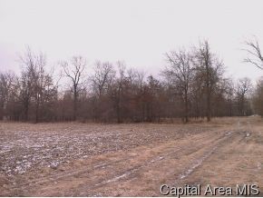 Finney Road Modesto, IL 62667 - Photo 4 of 4