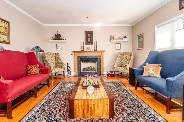 a living room with furniture or couch and a fireplace