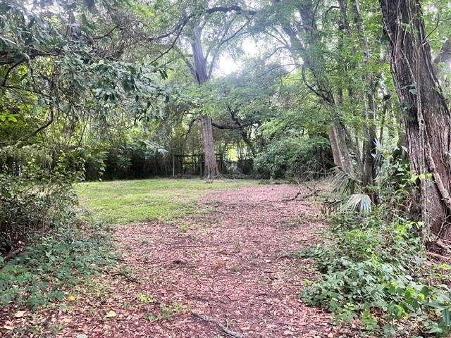 1414 Ransbottom Drive Alexandria, LA 71302 - Photo 4 of 4