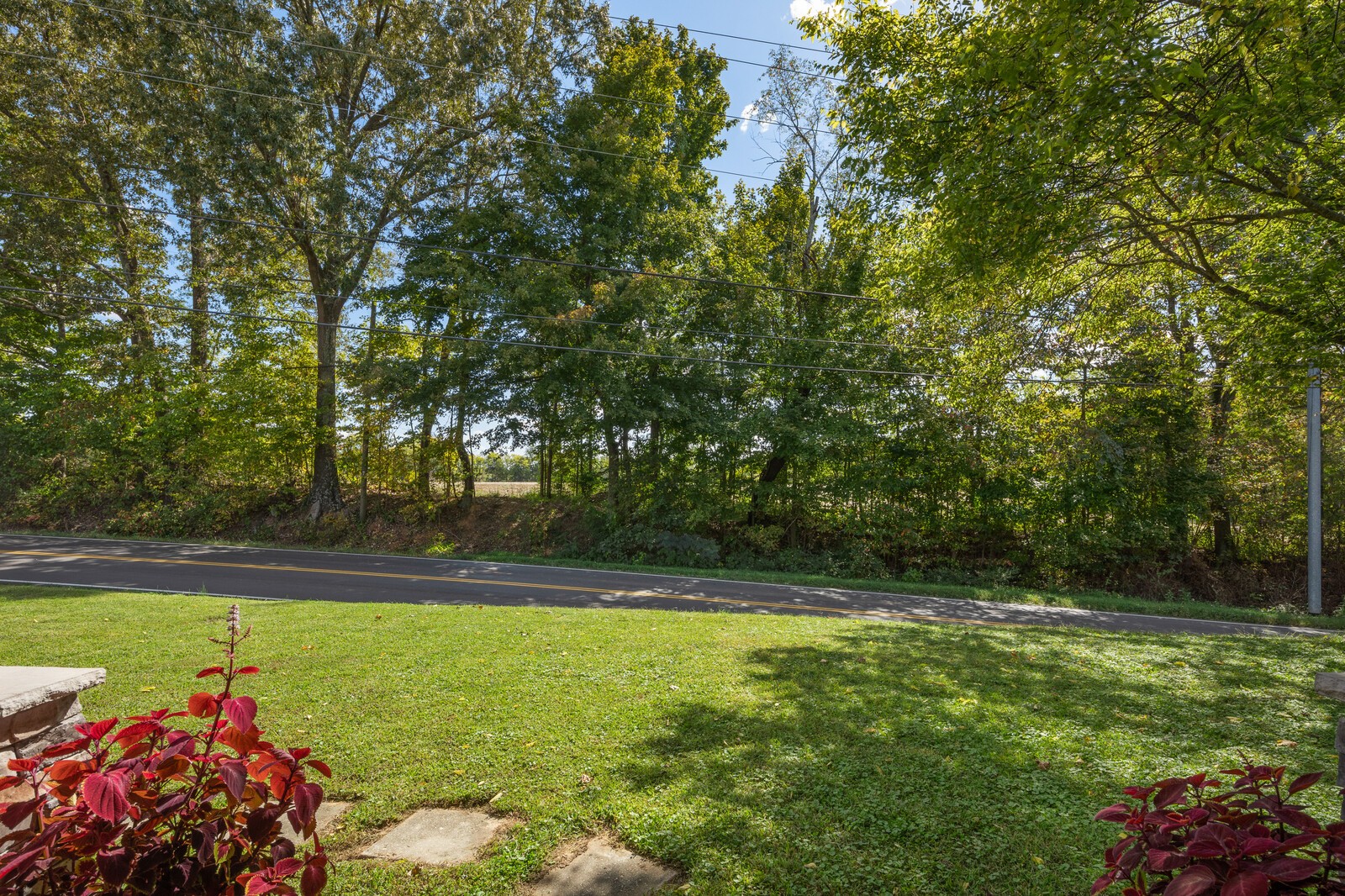 2531 Pleasant View Road Pleasant View, TN 37146 - Photo 5 of 35 a view of outdoor space with swimming pool and green space