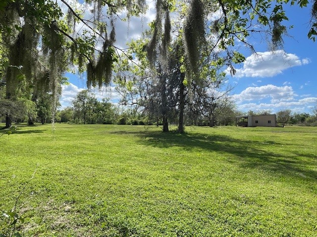 0 Hackamore Road Wallis, TX 77485 - Photo 13 of 33