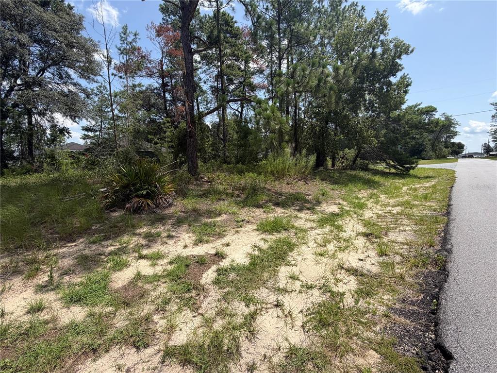 Tbd Southwest 63rd Terrace Ocala, FL 34473 - Photo 6 of 8