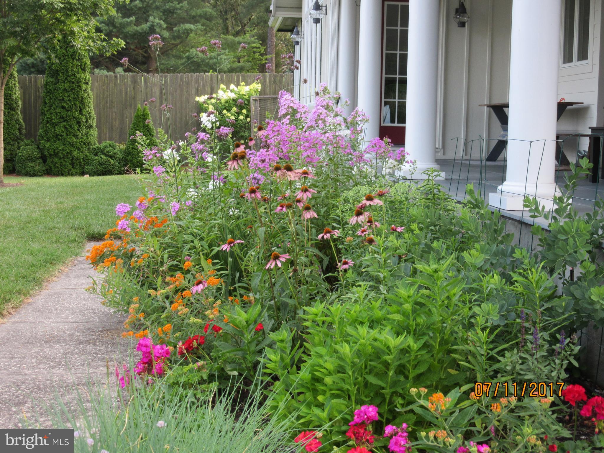 25946 River Road Newcomb, MD 21653 - Photo 28 of 30 Summer blooms in porch garden